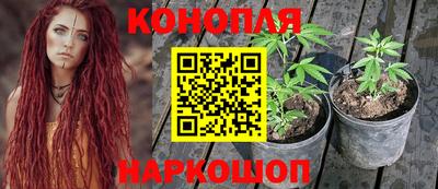 mdpv Обнинск
